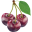 www.sparklingice.com